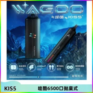 KIS5WAGOO哇酷6500口拋棄式 | 自由混搭雙口味 | 雙芯組合